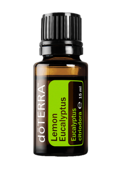 Lemon Eucalyptus (Zitroneneukalyptus) Eucalyptus citriodora 15 ml. Flasche